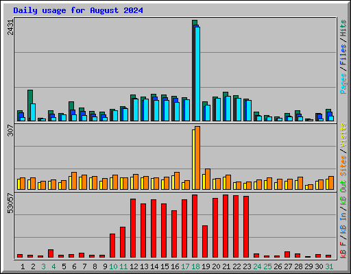 Daily usage for August 2024