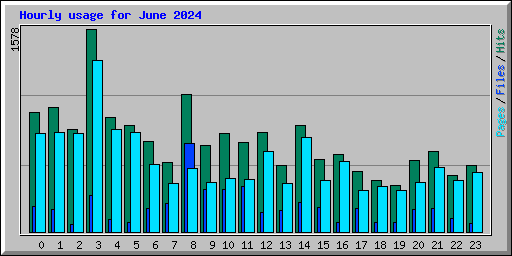 Hourly usage for June 2024