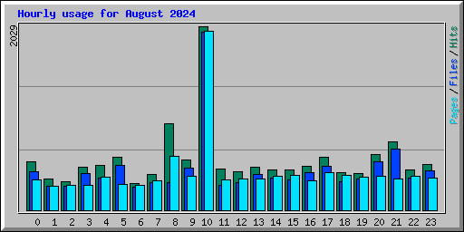 Hourly usage for August 2024