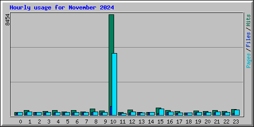 Hourly usage for November 2024