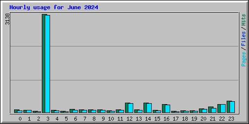 Hourly usage for June 2024