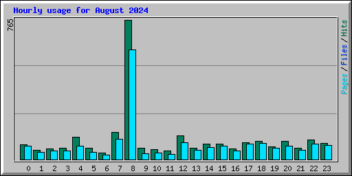 Hourly usage for August 2024